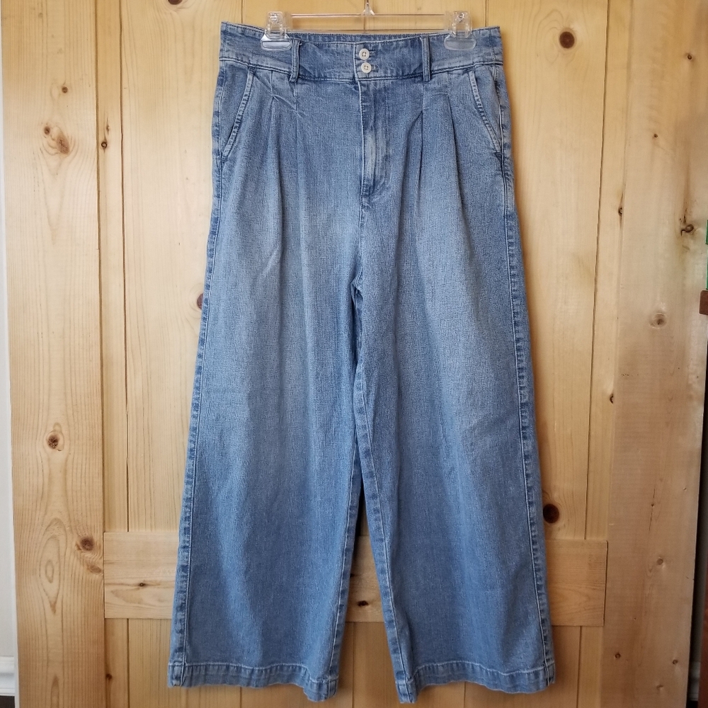 Madewell Denim Pleated High Rise Wide Leg Trouser Jeans